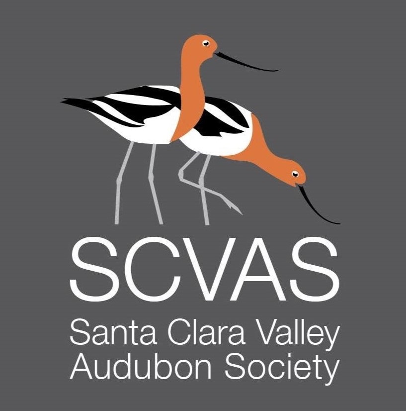 Santa Clara Valley Audubon Society Logo