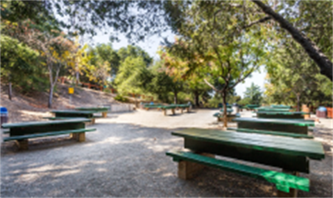 Picnic_Area-01.png